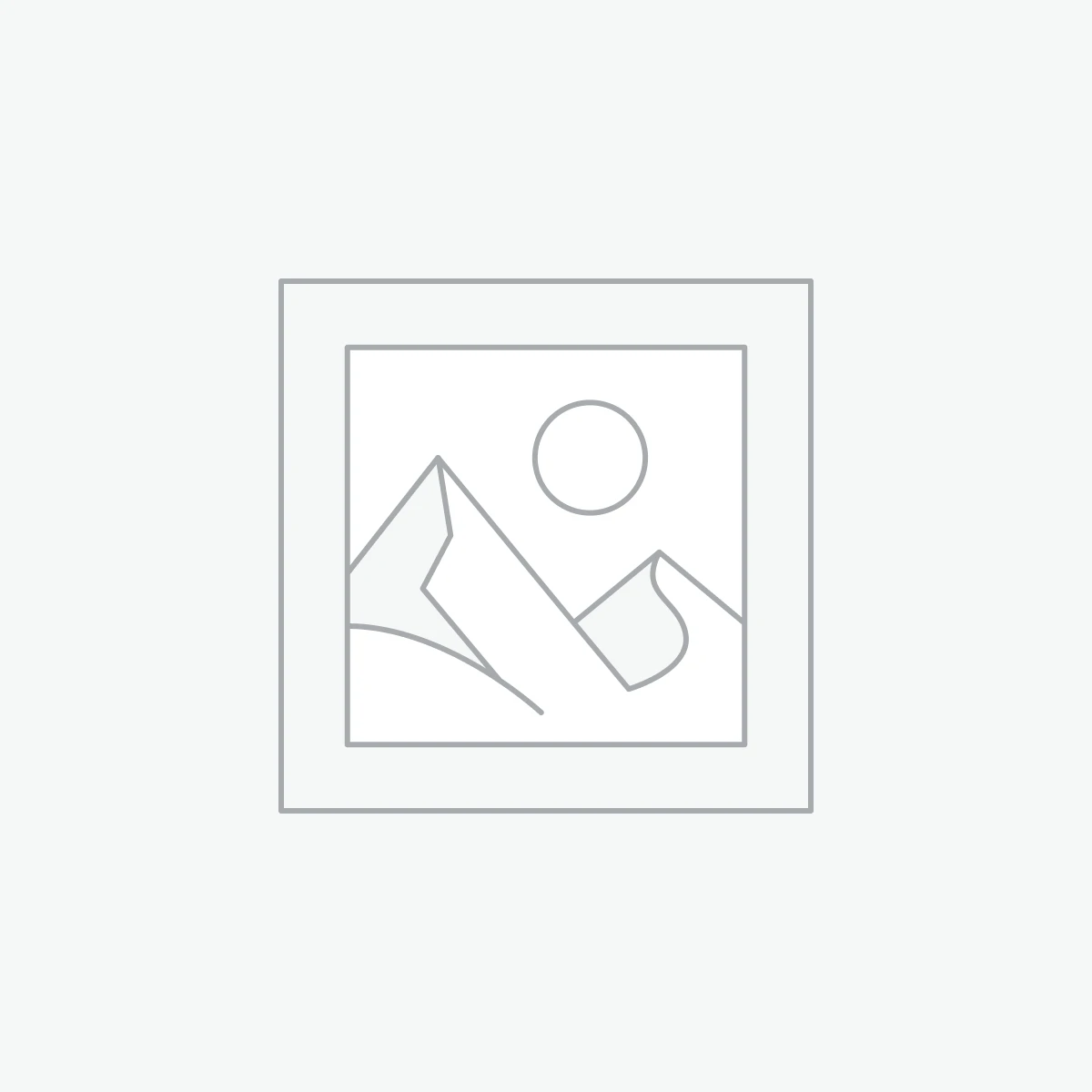 BRIEF CASES & PROTECTIVE STORAGE